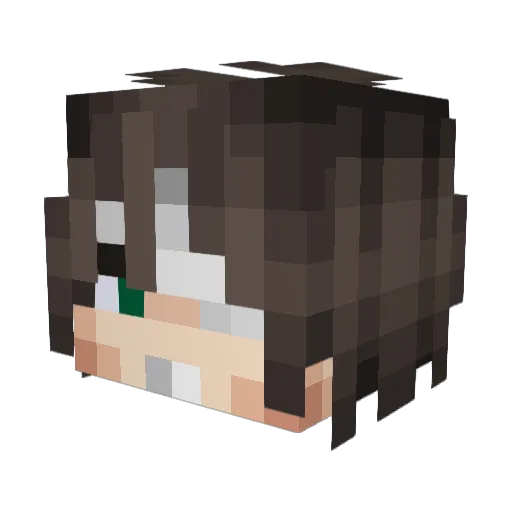 Venogy Minecraft avatar head, 3D render
