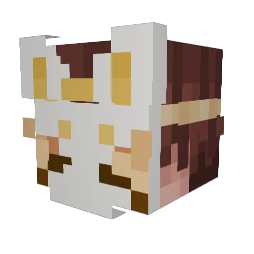 VenomousKitsune Minecraft avatar head, 3D render