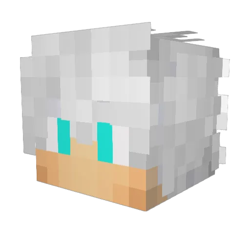 VenonFireZ_ Minecraft avatar head, 3D render