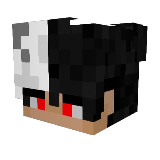 Venox00 Minecraft avatar head, 3D render