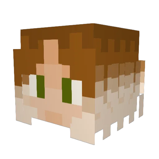 Venrylm Minecraft avatar head, 3D render