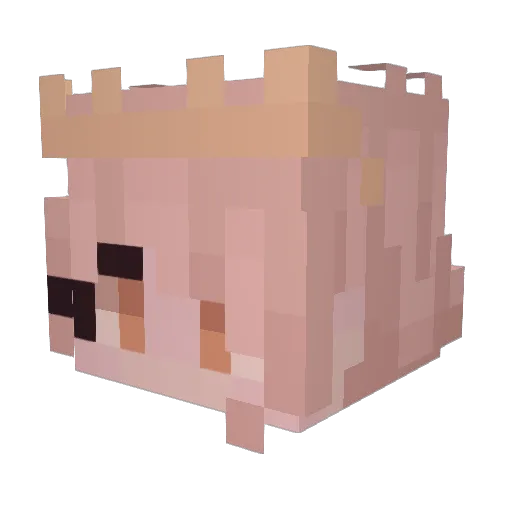 Ventrim Minecraft avatar head, 3D render
