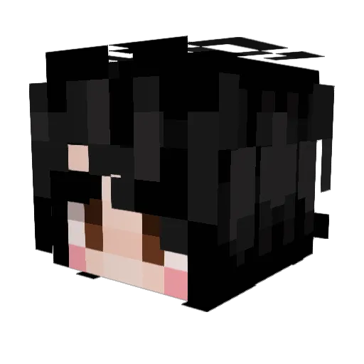 Venturian86 Minecraft avatar head, 3D render