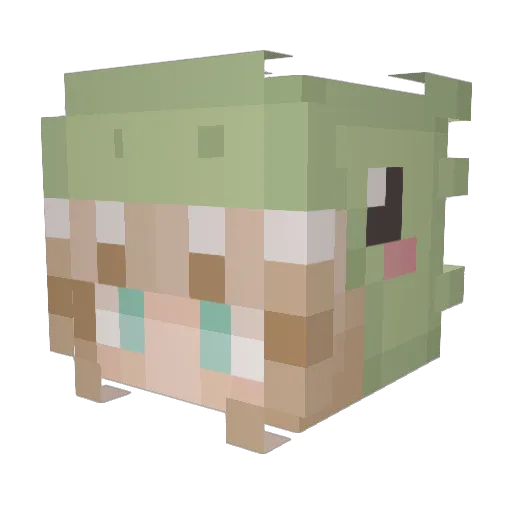 VenusFlamme12 Minecraft avatar head, 3D render