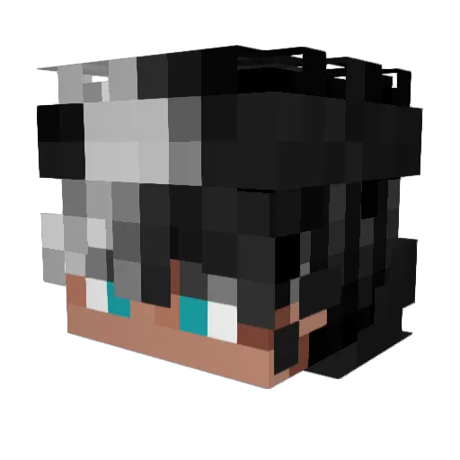 Venxion_ Minecraft avatar head, 3D render