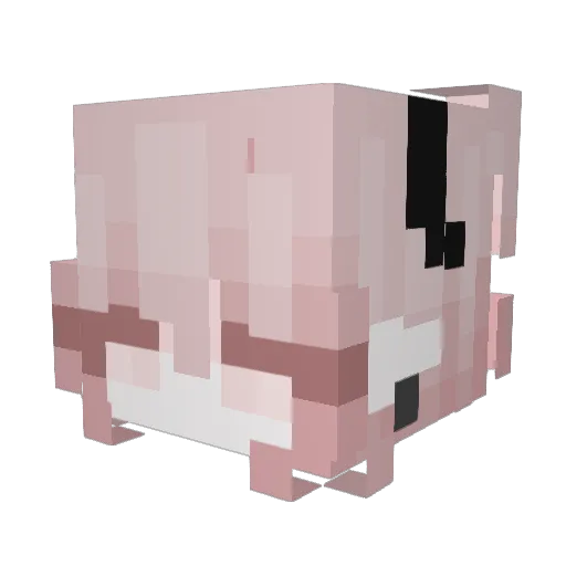 Veole Minecraft avatar head, 3D render
