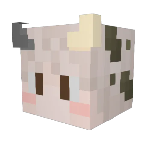 Veon0202 Minecraft avatar head, 3D render