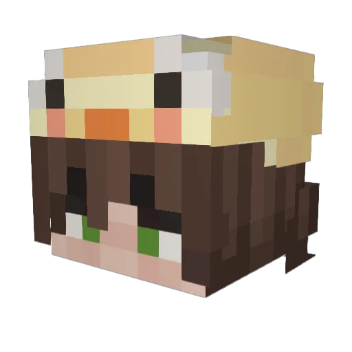 VeonGaming456 Minecraft avatar head, 3D render
