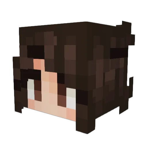 Veonar Minecraft avatar head, 3D render
