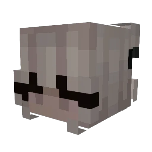 Veorah Minecraft avatar head, 3D render