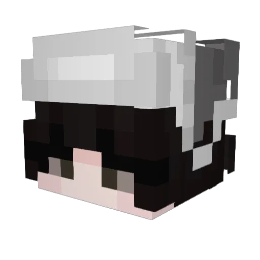Vepx48 Minecraft avatar head, 3D render