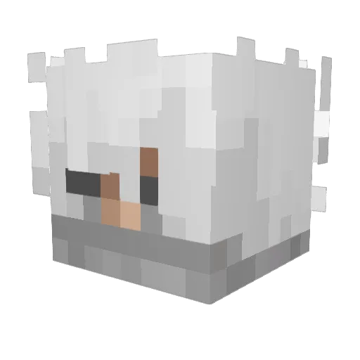 VerEditor Minecraft avatar head, 3D render