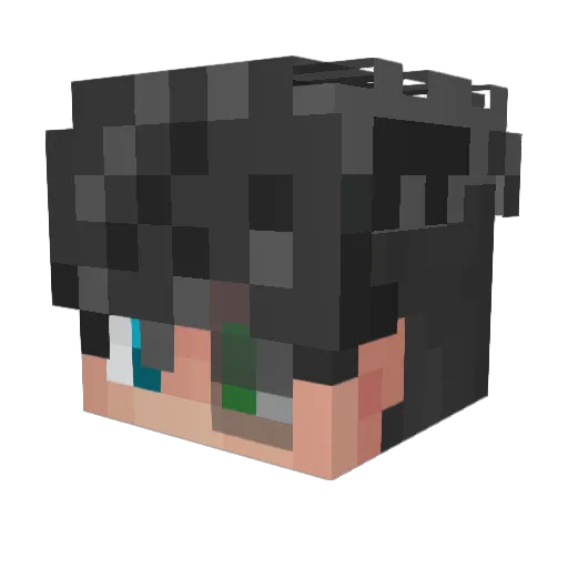 VerTexProYt Minecraft avatar head, 3D render
