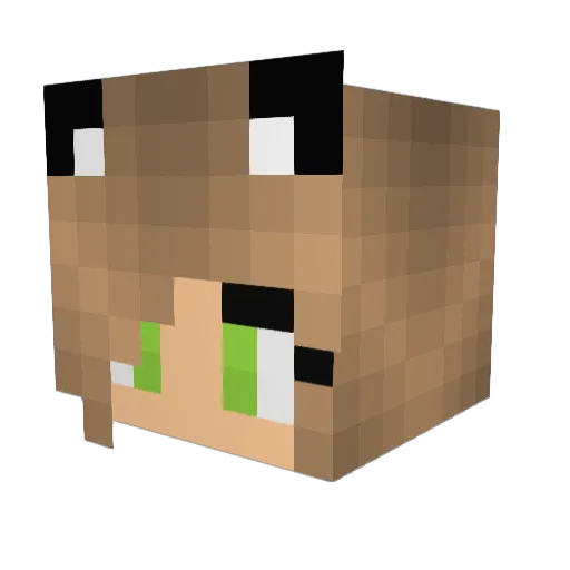 Vera098 Minecraft avatar head, 3D render