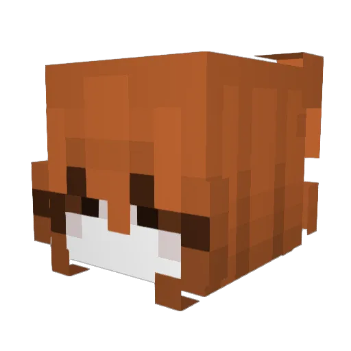 Vera32_W Minecraft avatar head, 3D render