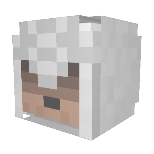 VeraVTgizmO Minecraft avatar head, 3D render