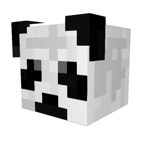 VeraW2004 Minecraft avatar head, 3D render