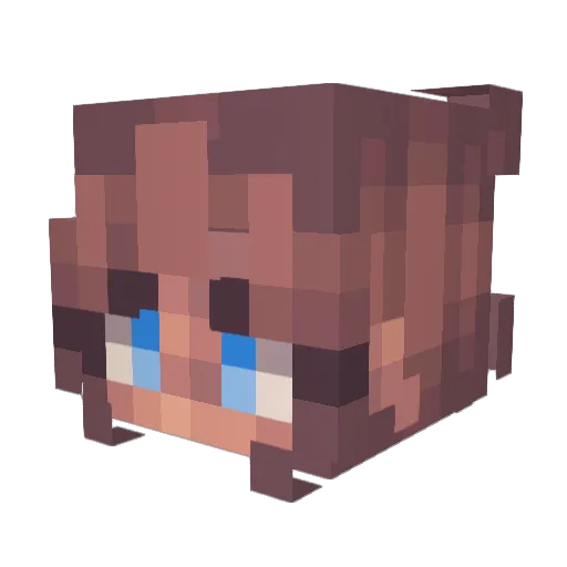 Vera___ Minecraft avatar head, 3D render
