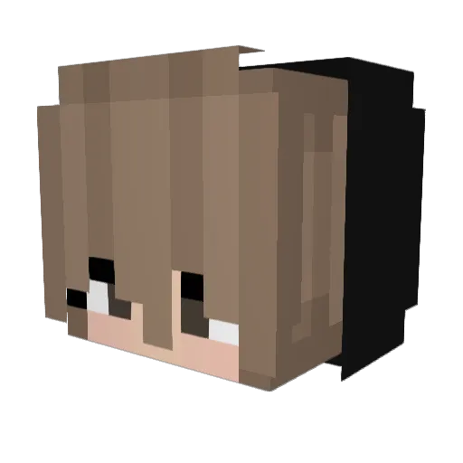 Veraendertee Minecraft avatar head, 3D render