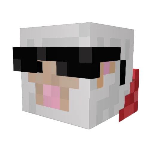 Verafe Minecraft avatar head, 3D render