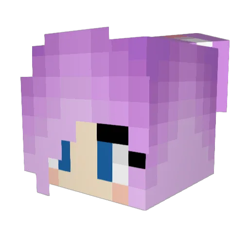 Veralyn_ Minecraft avatar head, 3D render