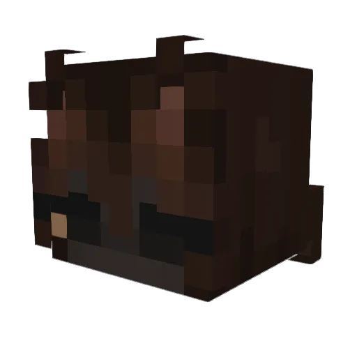 Veran__ Minecraft avatar head, 3D render