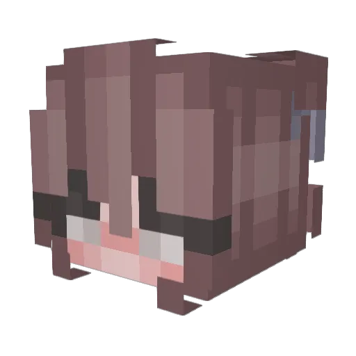 Verascool Minecraft avatar head, 3D render