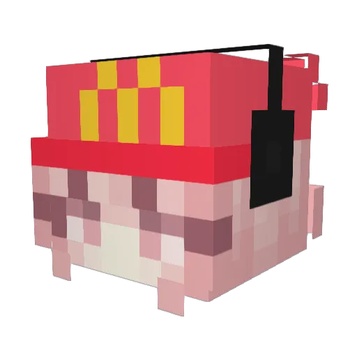 Verashy Minecraft avatar head, 3D render