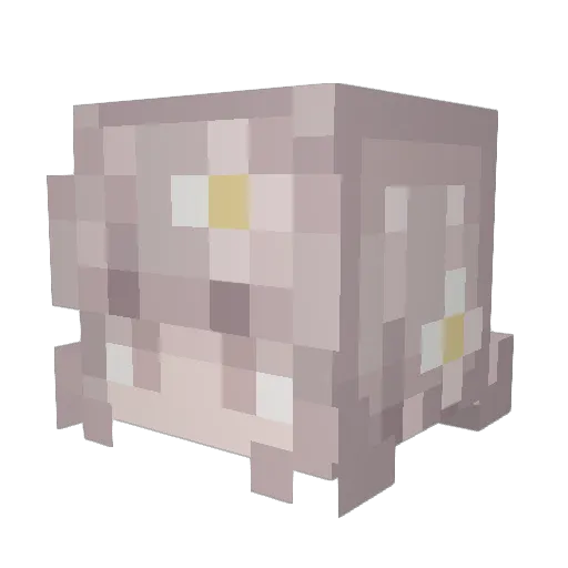 Veraxinity Minecraft avatar head, 3D render