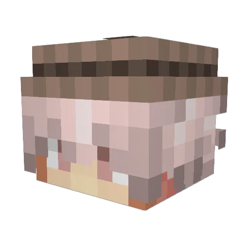 Verbandskader Minecraft avatar head, 3D render