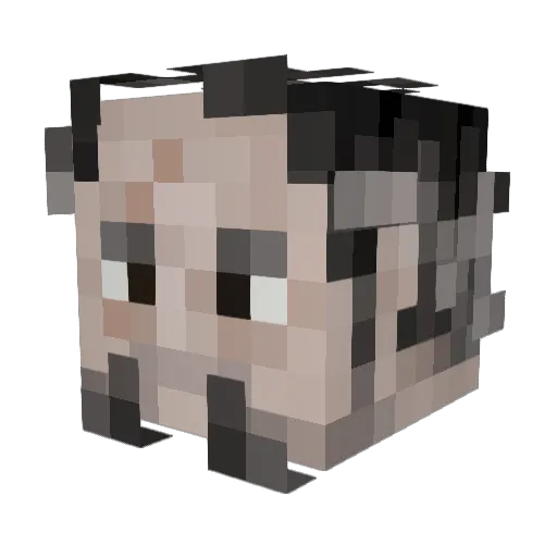 Verbannter Minecraft avatar head, 3D render