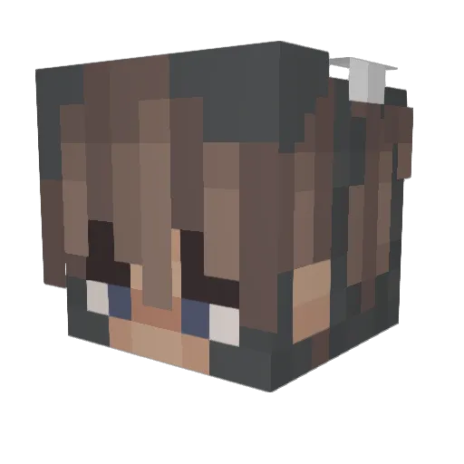 Verbeeter_ Minecraft avatar head, 3D render