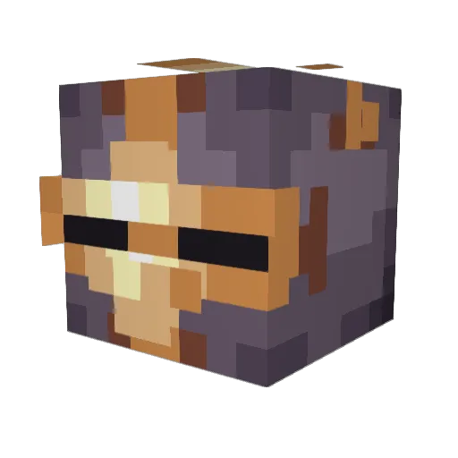 Verbose14 Minecraft avatar head, 3D render