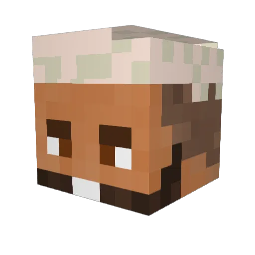 Verdixx Minecraft avatar head, 3D render