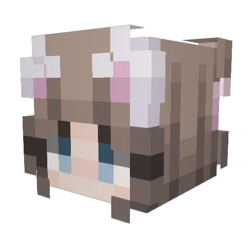 Verenity18 Minecraft avatar head, 3D render