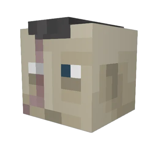 Veretho Minecraft avatar head, 3D render