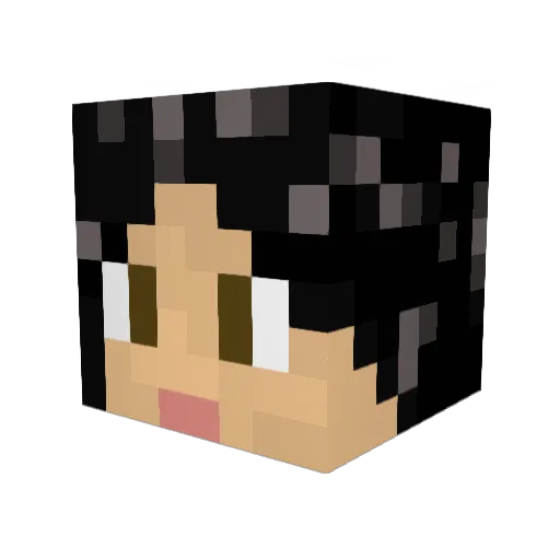 Vereydonn Minecraft avatar head, 3D render