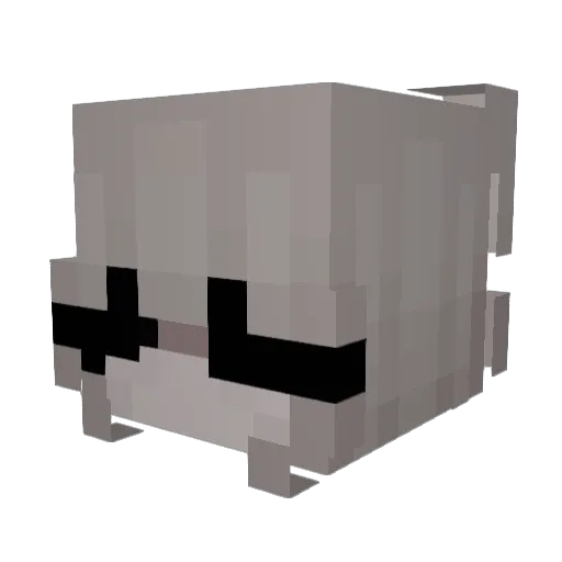 VerfaulterAyran Minecraft avatar head, 3D render