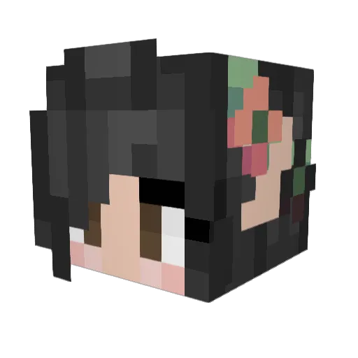 Vergo81 Minecraft avatar head, 3D render