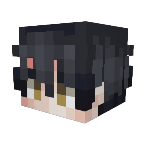 VerickFin Minecraft avatar head, 3D render