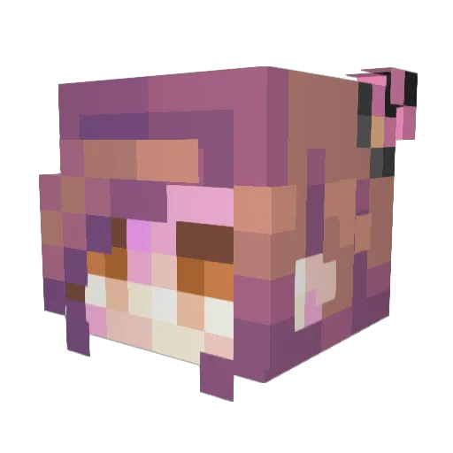Verilo Minecraft avatar head, 3D render