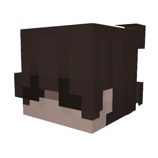 Veris3q_ Minecraft avatar head, 3D render