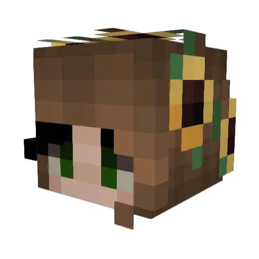 Verito2002 Minecraft avatar head, 3D render