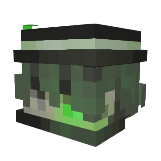 VerityFishaan Minecraft avatar head, 3D render