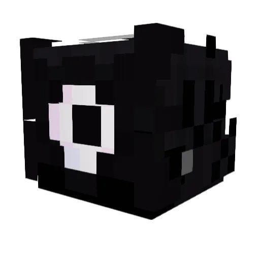 Verixity_ Minecraft avatar head, 3D render