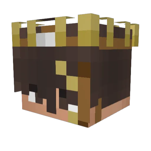 Verles Minecraft avatar head, 3D render