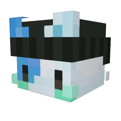 Vermilion2303 Minecraft avatar head, 3D render