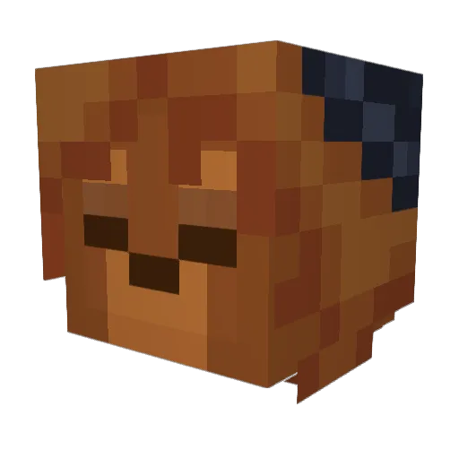 VermingLerming Minecraft avatar head, 3D render