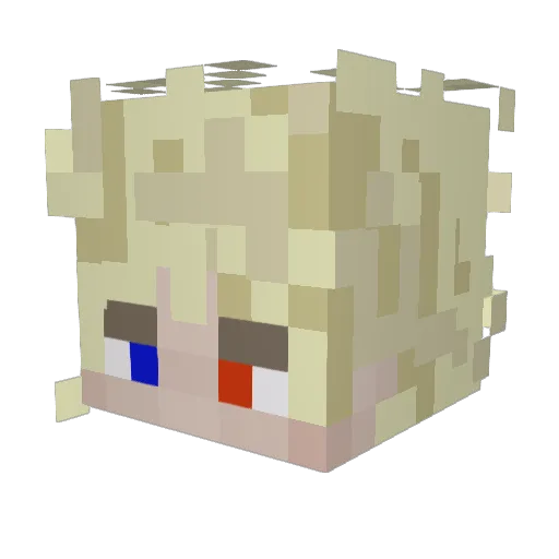 Vern_00 Minecraft avatar head, 3D render