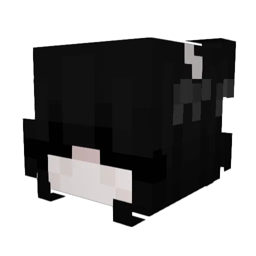 Vernals Minecraft avatar head, 3D render